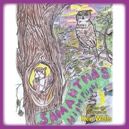 Samantha's Night Flight 9780986401022