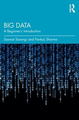 Big Data 9781000650976