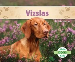 Vizslas 9781098268541