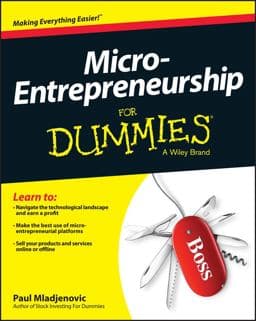 Micro-Entrepreneurship for Dummies 9781118591871