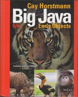 Big Java 6e Binder Ready Version High School Binding 9781119221975