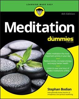 Meditation for Dummies 9781119251163