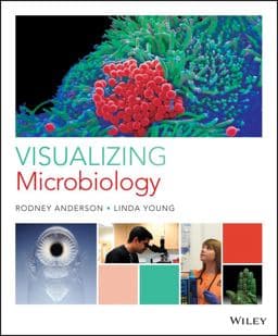 Visualizing Microbiology 9781119320418