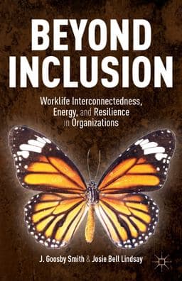 Beyond Inclusion 9781137385420