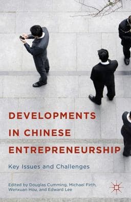 Developments in Chinese Entrepreneurship 9781137412492
