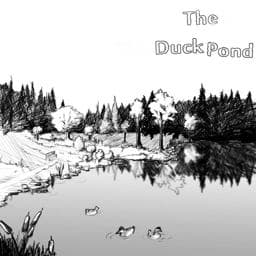 The Duck Pond 9781312402935