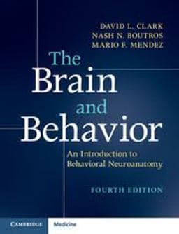 The Brain and Behavior 9781316646939