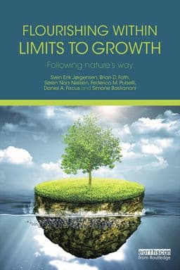 Flourishing Within Limits to Growth 9781317551997