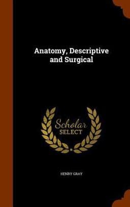 Anatomy, Descriptive and Surgical 9781343959071