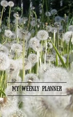 My Weekly Planner 9781366641625