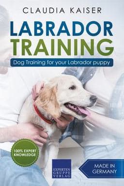 Labrador Training 9781393050421