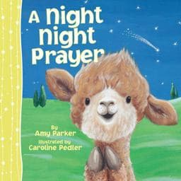 A Night Night Prayer 9781400324316