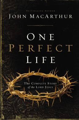 One Perfect Life 9781401676322