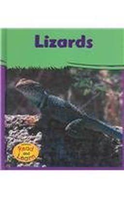 Lizards 9781403450470