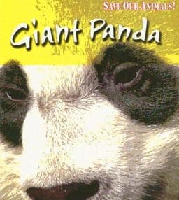 Giant Panda 9781403478153