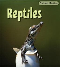 Reptiles 9781403492463