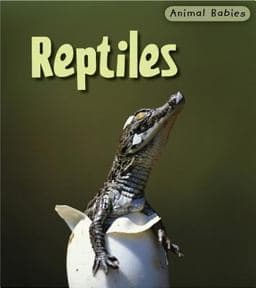 Reptiles 9781403492531