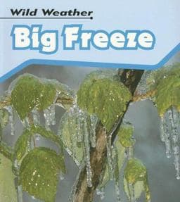 Big Freeze 9781403495839