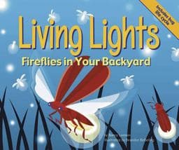 Living Lights 9781404804470