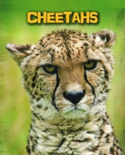 Cheetahs 9781406273496