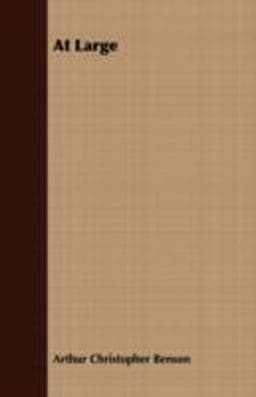 At Large 9781409784432