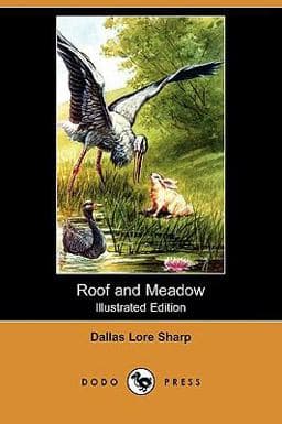 Roof and Meadow 9781409950790