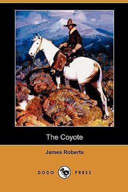 The Coyote 9781409986782