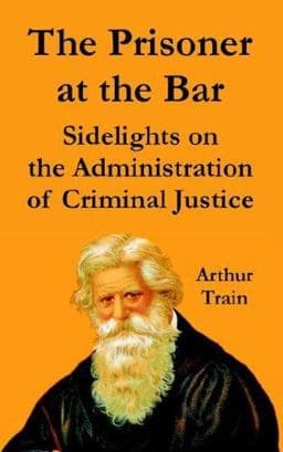 The Prisoner at the Bar 9781410225481