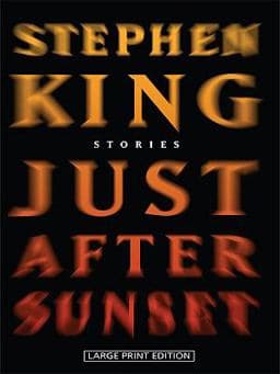 Just after Sunset 9781410410603