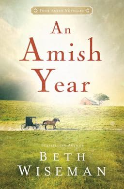 An Amish Year 9781410484918