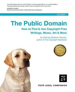 The Public Domain 9781413304541