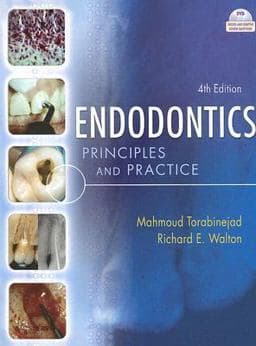 Endodontics 9781416038511