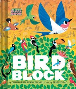 Birdblock (an Abrams Block Book) 9781419760648