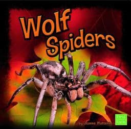 Wolf Spiders 9781429645232