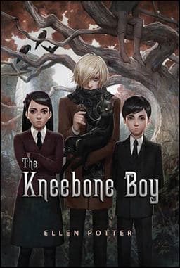 The Kneebone Boy 9781429941198