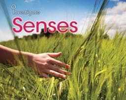 Senses 9781432914042