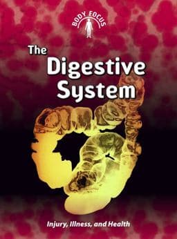 The Digestive System 9781432934170