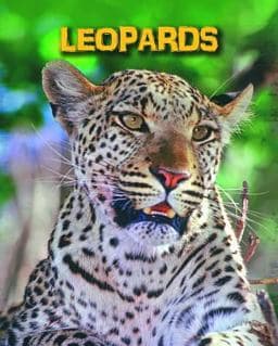 Leopards 9781432981075