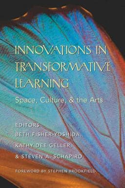 Innovations in Transformative Learning 9781433102912