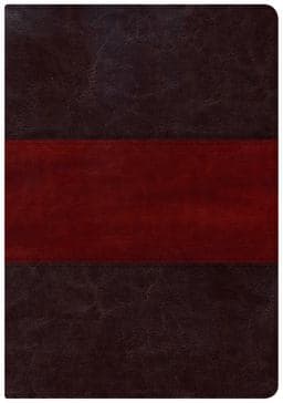 9781433615658