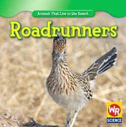 Roadrunners 9781433923913