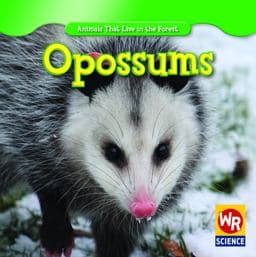 Opossums 9781433924057