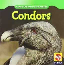Condors 9781433924934
