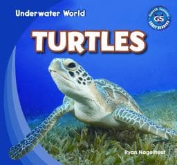 Turtles 9781433985782