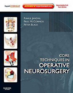 Core Techniques in Operative Neurosurgery 9781437709070