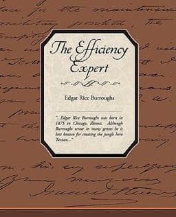The Efficiency Expert 9781438511856