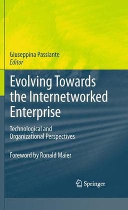 Evolving Towards the Internetworked Enterprise 9781441972798