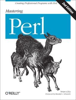 Mastering Perl 9781449393113