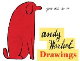 Andy Warhol Drawings 9781452112039