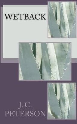 Wetback 9781460909522